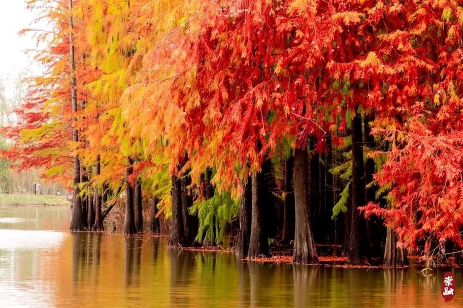 喜报!西沙明珠湖景区成功获评国家5A级旅游景区