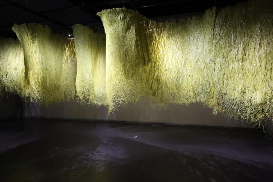 梦幻、柔软又震撼!绚烂的繁花绽放在这个免费展览