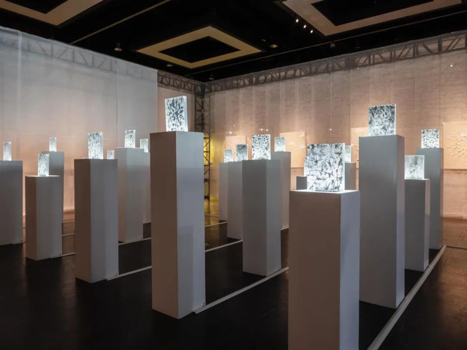 梦幻、柔软又震撼!绚烂的繁花绽放在这个免费展览