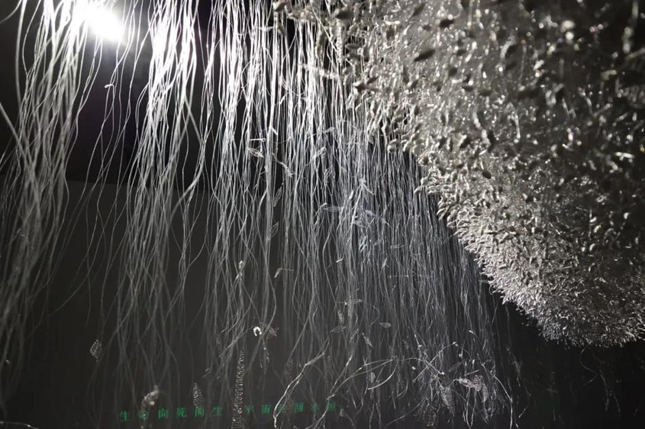 梦幻、柔软又震撼!绚烂的繁花绽放在这个免费展览