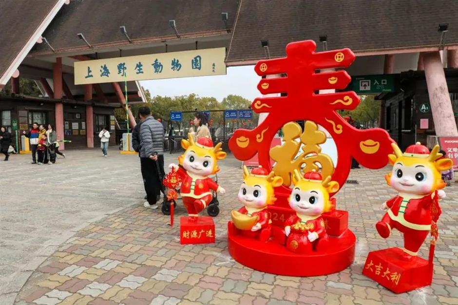 逛逛景区,打卡龙年新活动|乐游上海过大年