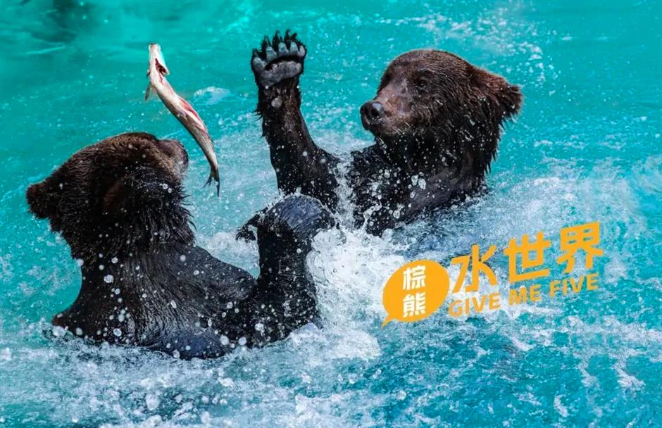 逛逛景区,打卡龙年新活动|乐游上海过大年