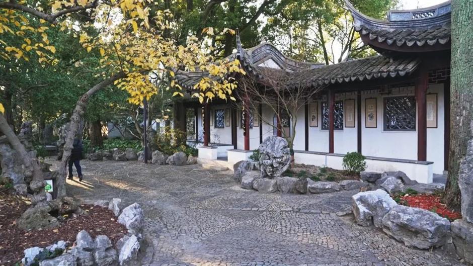 冬日限定色彩!这座公园的茶梅、腊梅次第盛开→