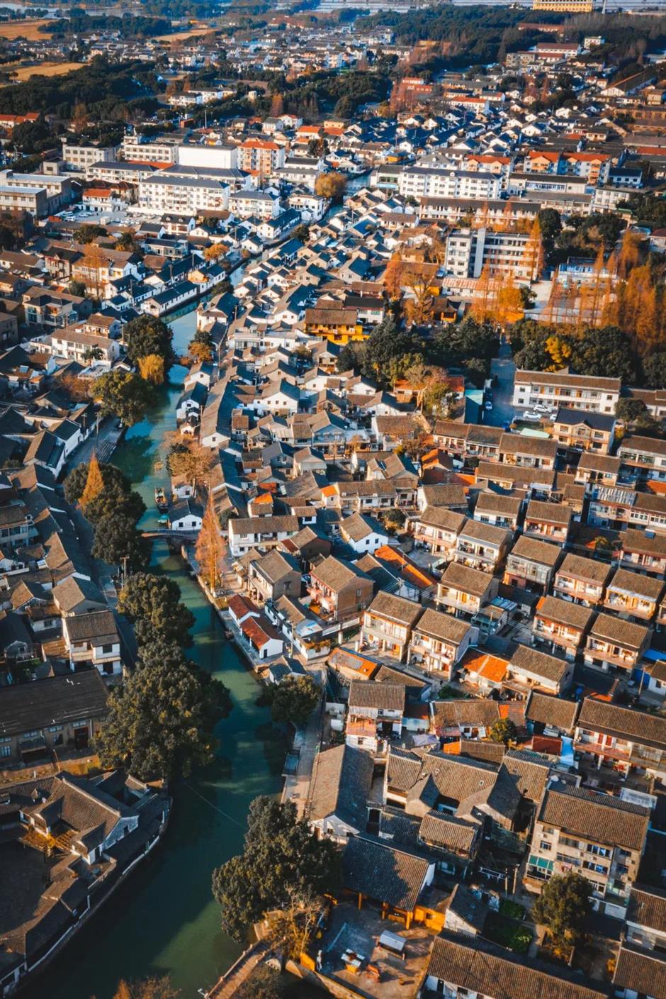 古鎮老街新玩法,體驗中式年味「天花板」| 樂遊上海過大年