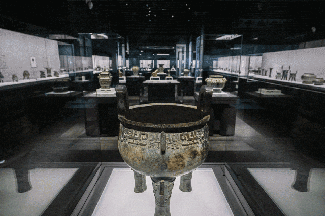 春节不打烊,来看大展|乐游上海过大年