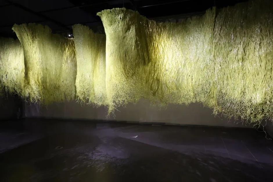 春节不打烊,来看大展|乐游上海过大年