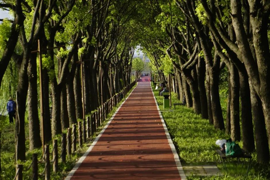 到郊野公园找寻