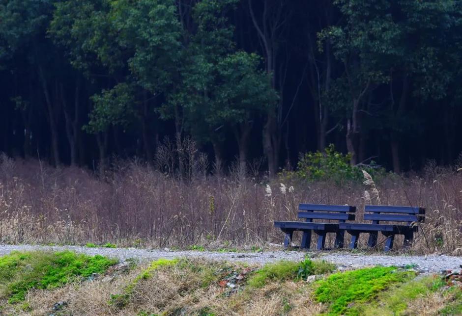 到郊野公园找寻