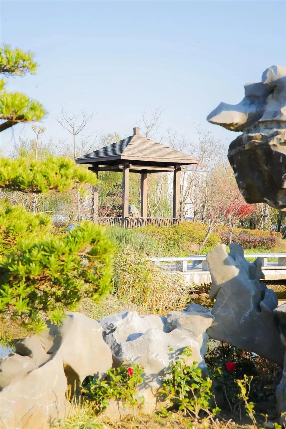 到郊野公园找寻