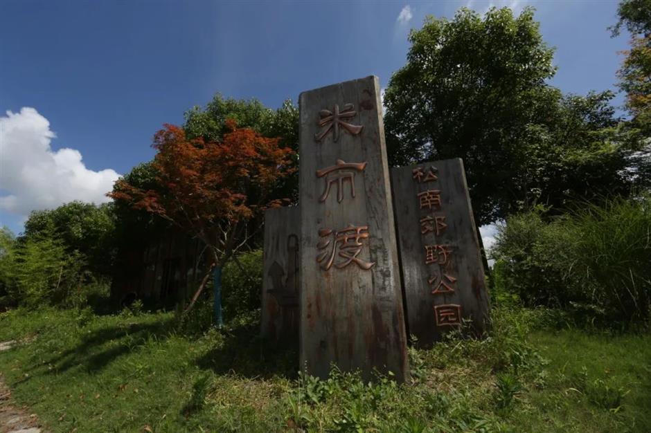 到郊野公园找寻