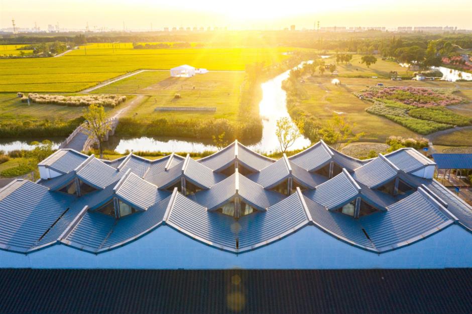 到郊野公园找寻