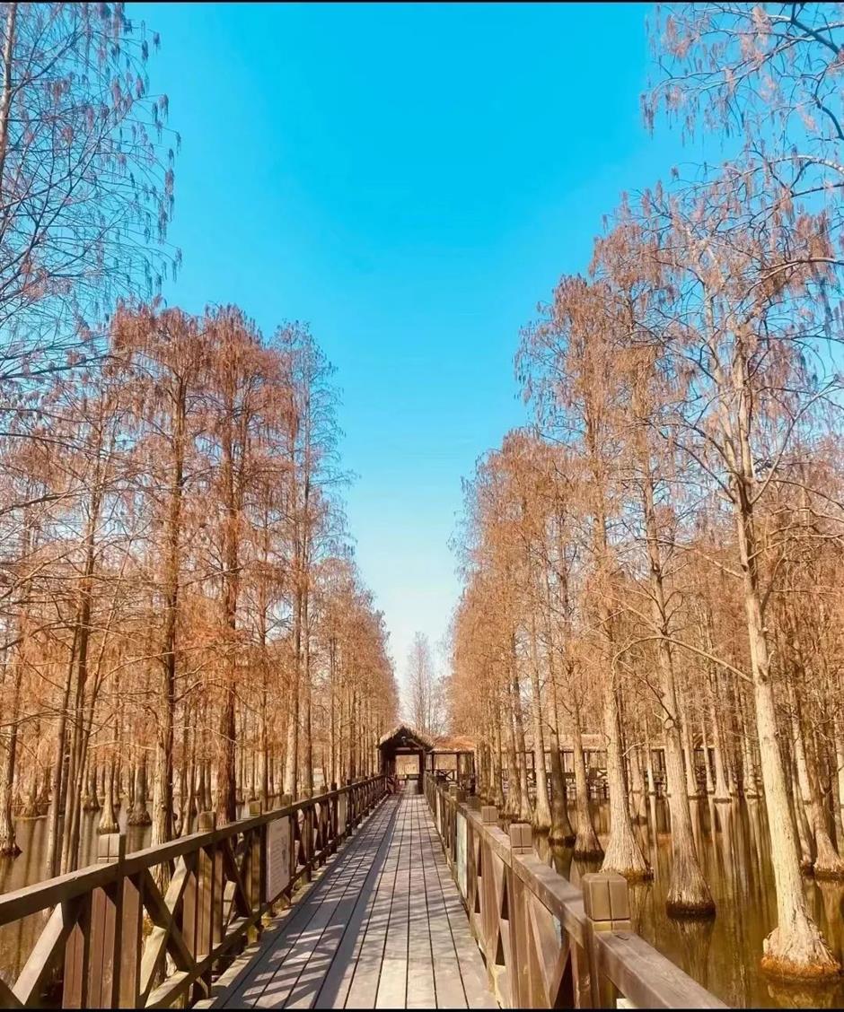 到郊野公园找寻