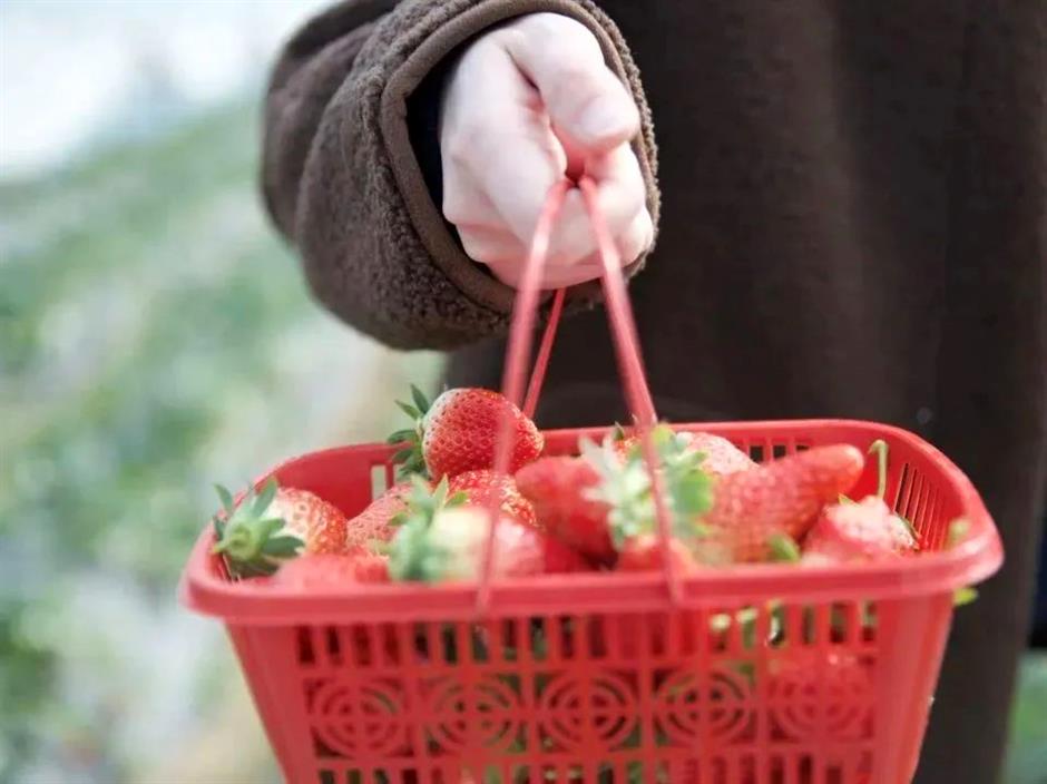 到郊野公园找寻