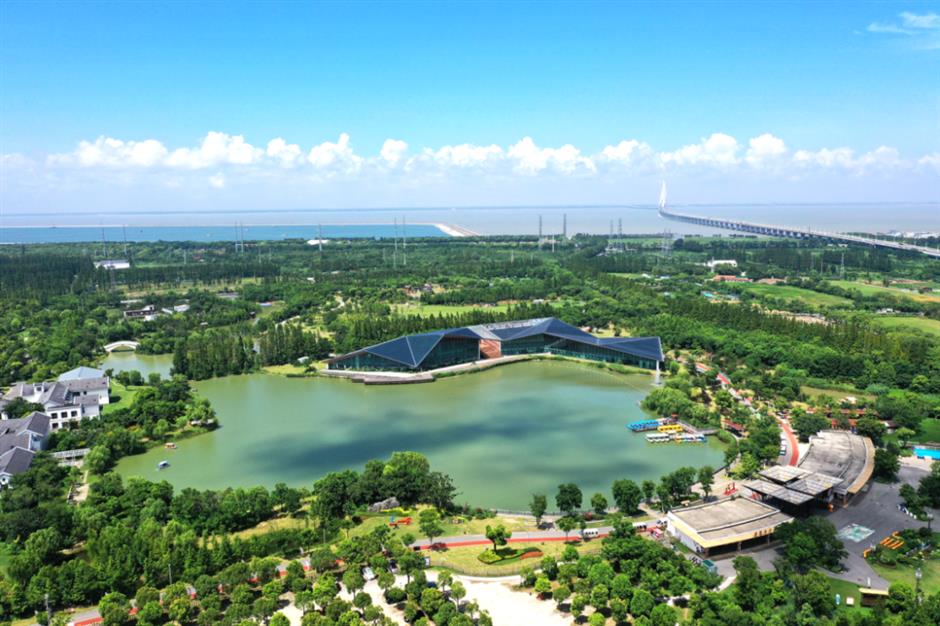 到郊野公园找寻