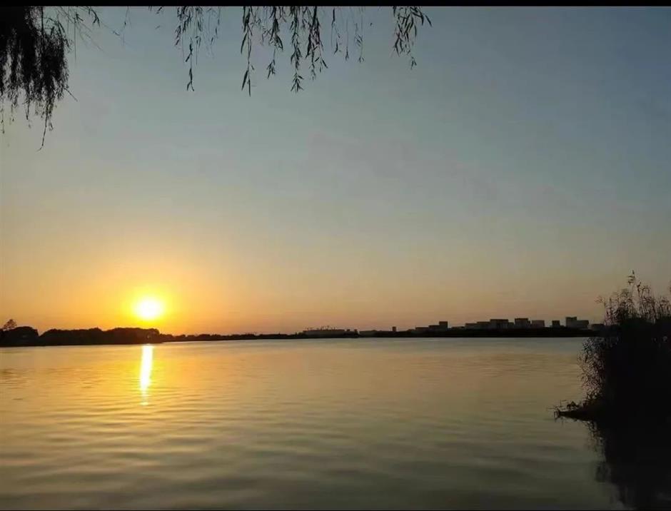 到郊野公园找寻