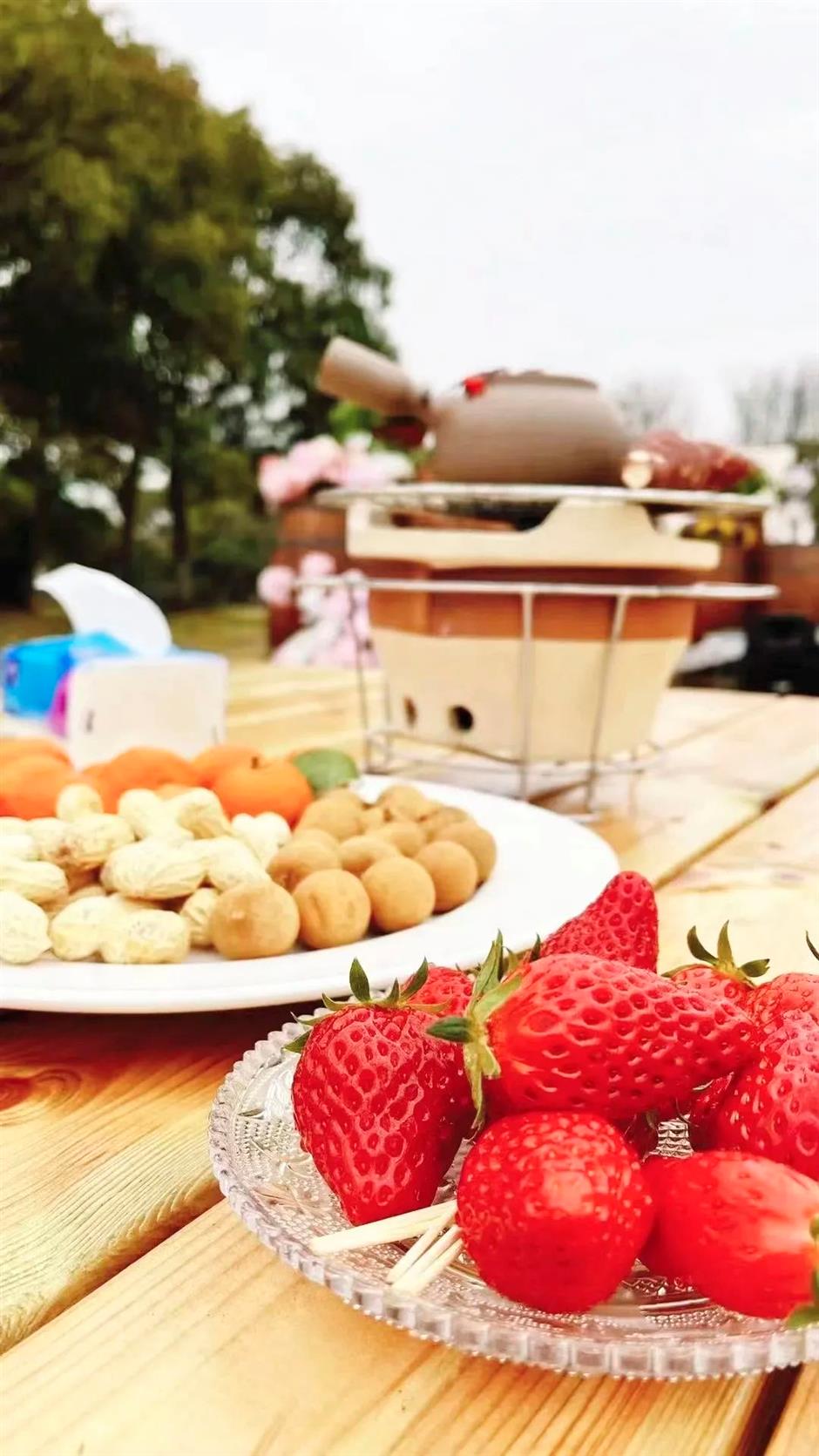 到郊野公园找寻