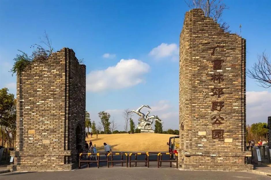 到郊野公园找寻