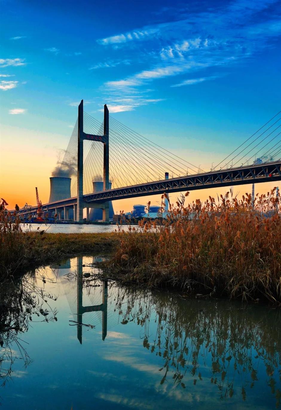 到郊野公园找寻