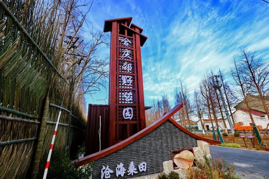 到郊野公园找寻