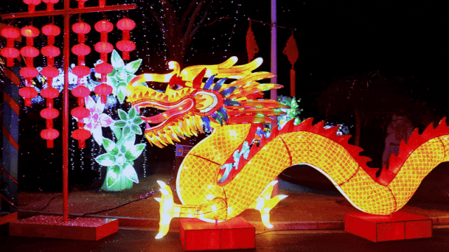 赏灯观景、非遗盛会……上海夜游好去处来了 | 乐游上海过大年