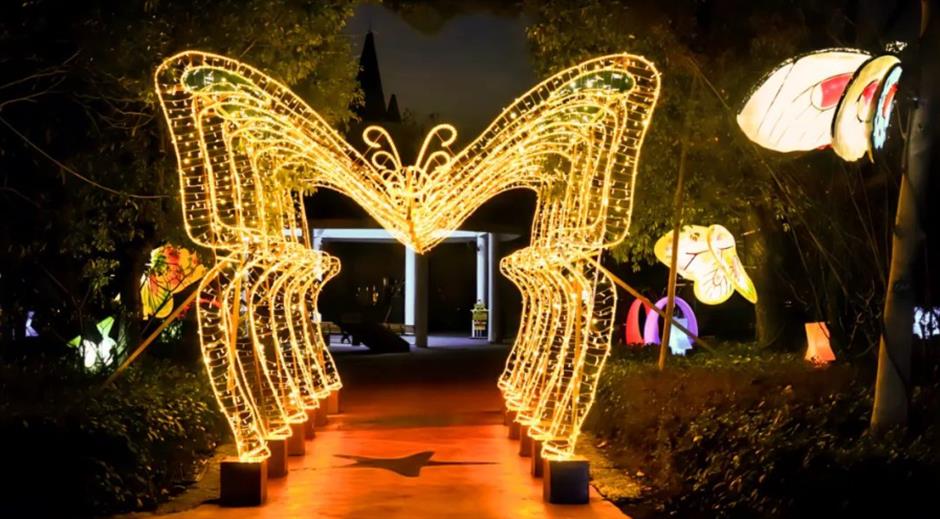 赏灯观景、非遗盛会……上海夜游好去处来了 | 乐游上海过大年