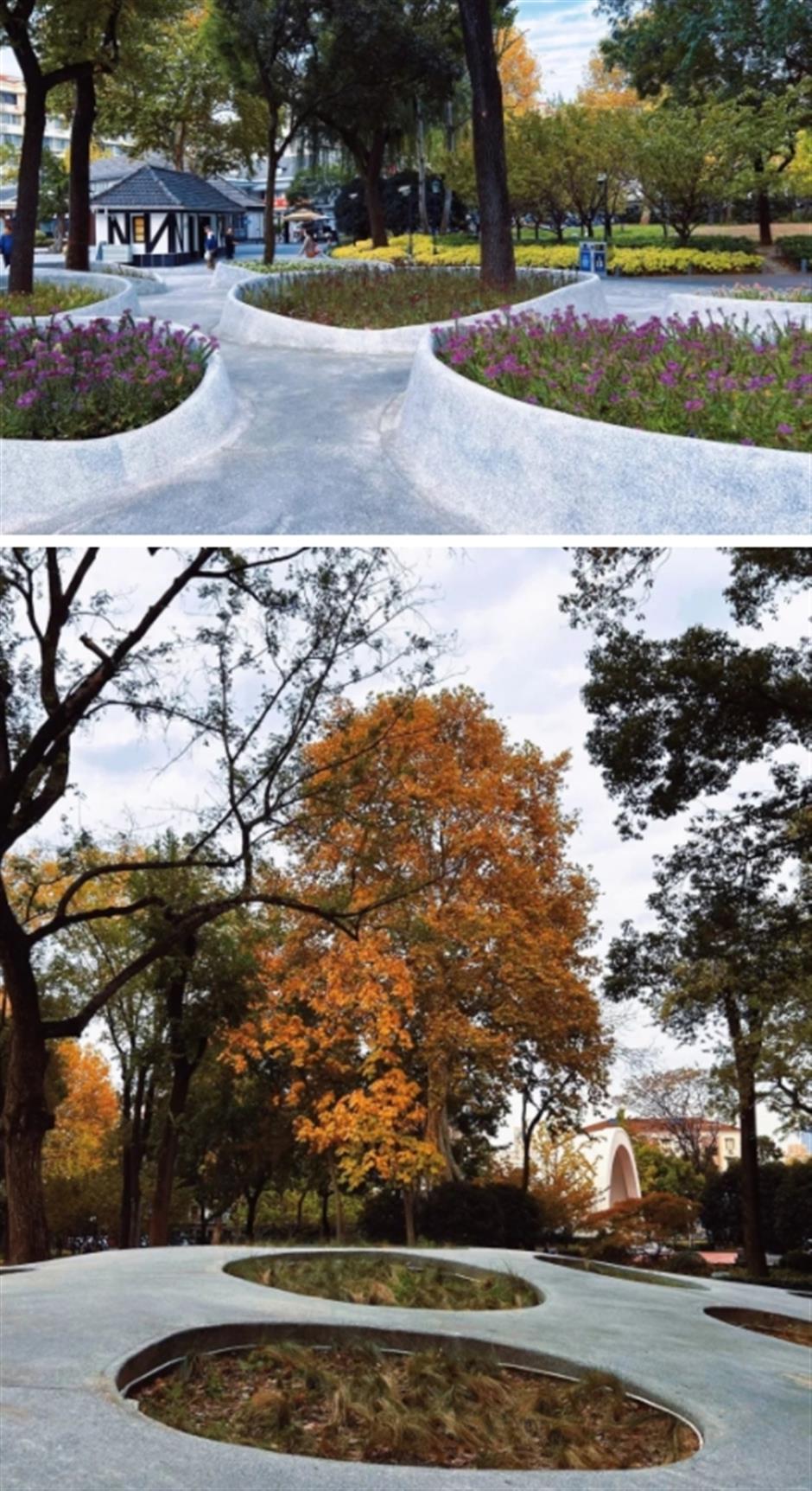 百年老公园游览线路图出炉