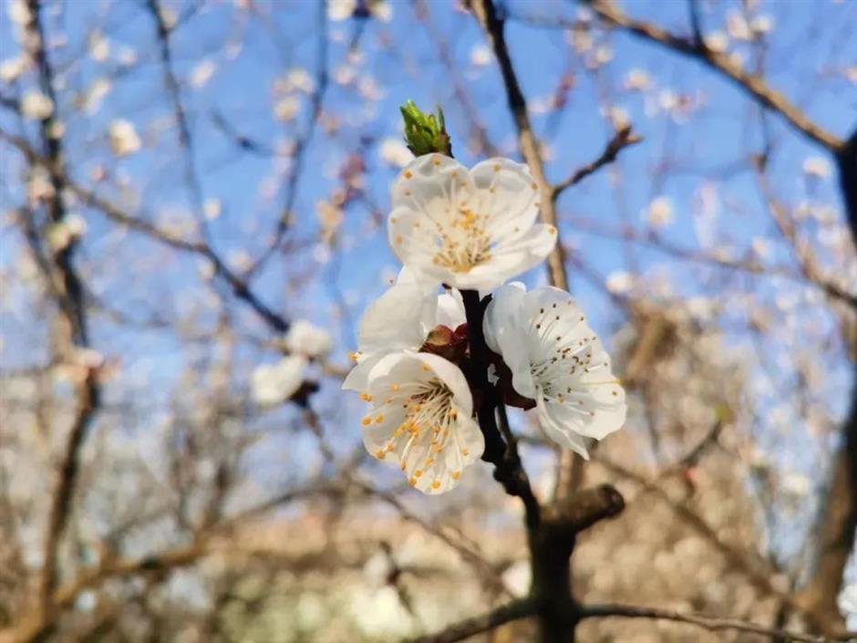 節氣之美 | 一簾新雨後，人間又逢春