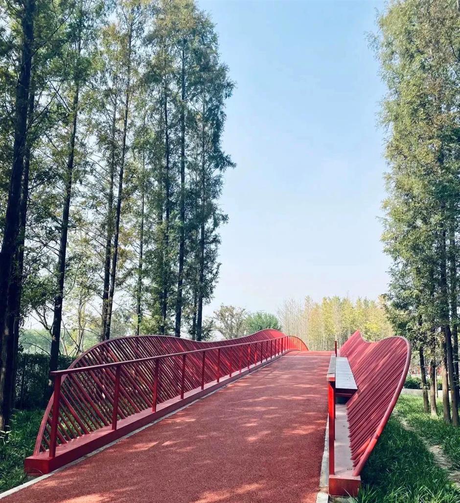 这里有条宝藏Cityride路线,来打卡吧