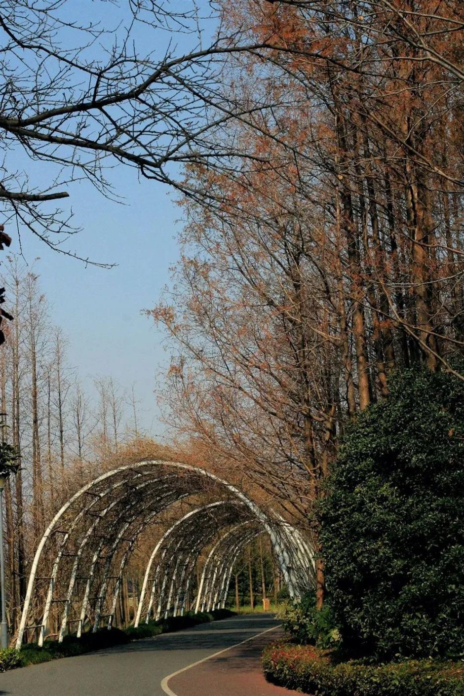这里有条宝藏Cityride路线,来打卡吧