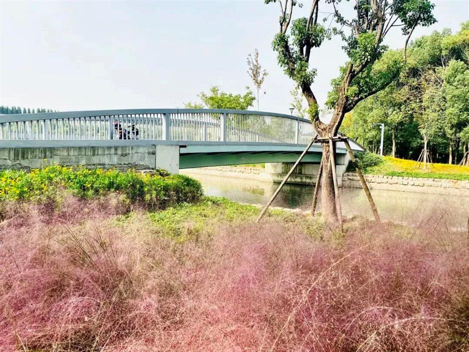 这里有条宝藏Cityride路线,来打卡吧