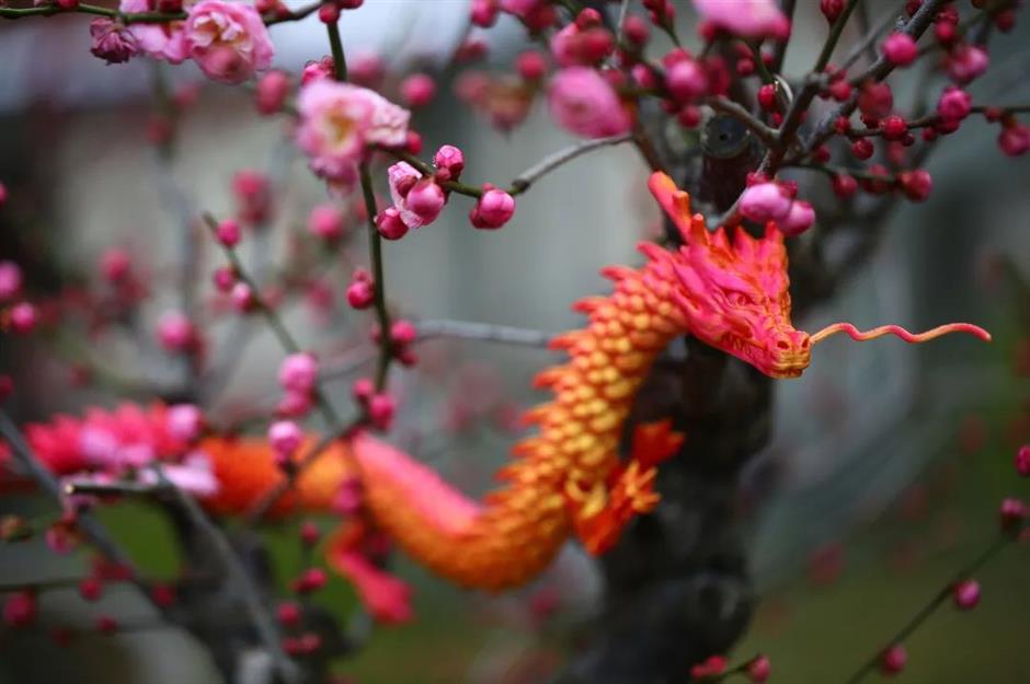 上海梅花节开幕!申城还有这些赏梅好去处
