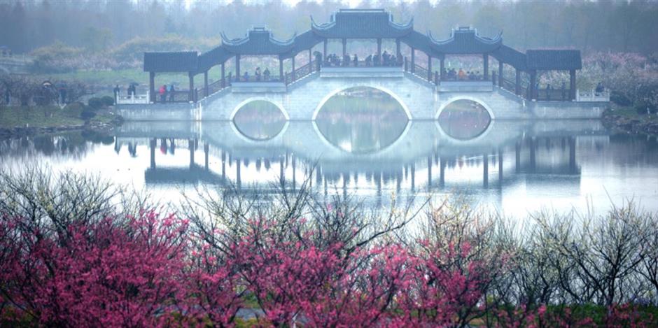 上海梅花节开幕!申城还有这些赏梅好去处