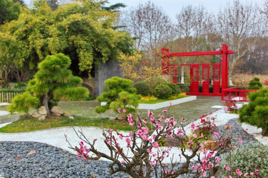 上海梅花节开幕!申城还有这些赏梅好去处