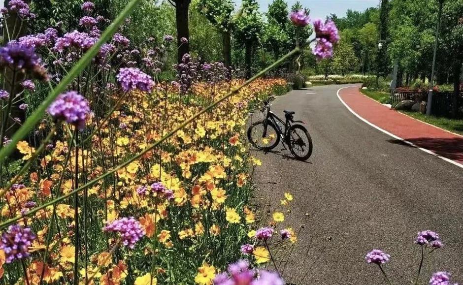 这里有条宝藏Cityride路线,来打卡吧