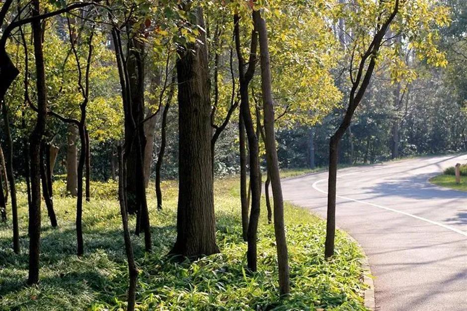 这里有条宝藏Cityride路线,来打卡吧