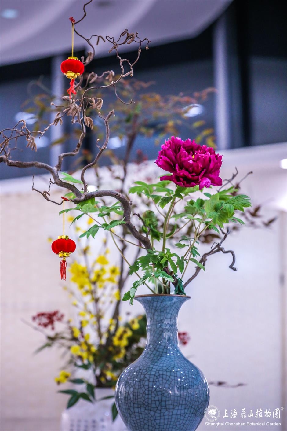 过年限定,来看红红火火年宵花展