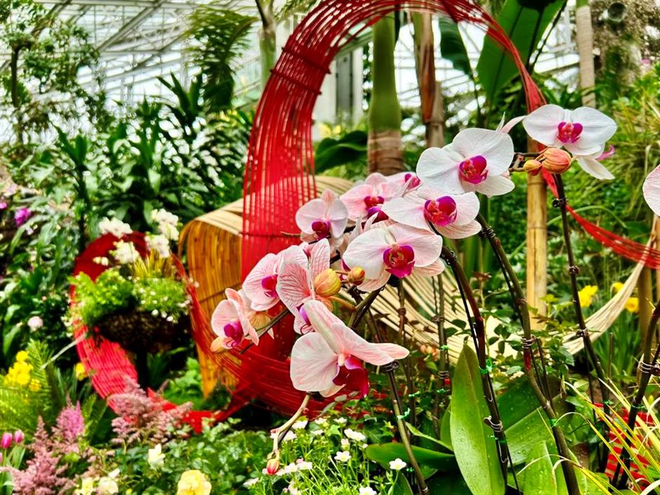 过年限定,来看红红火火年宵花展