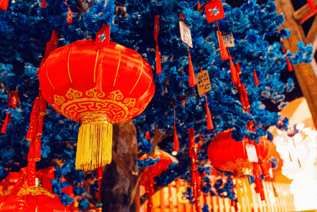 烟火盛典、非遗国潮、寻龙看灯……上海主要景区元宵活动抢先看