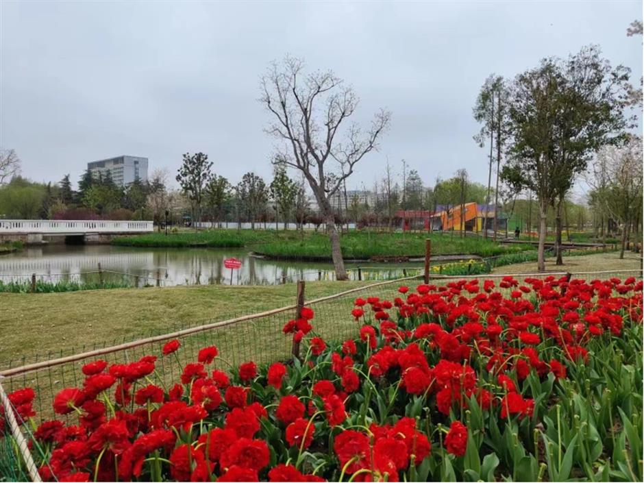 感受温情与活力,TA们各有特色 | 家门口的好去处