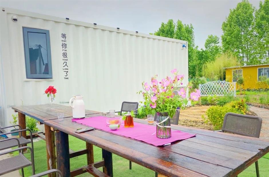 感受温情与活力,TA们各有特色 | 家门口的好去处