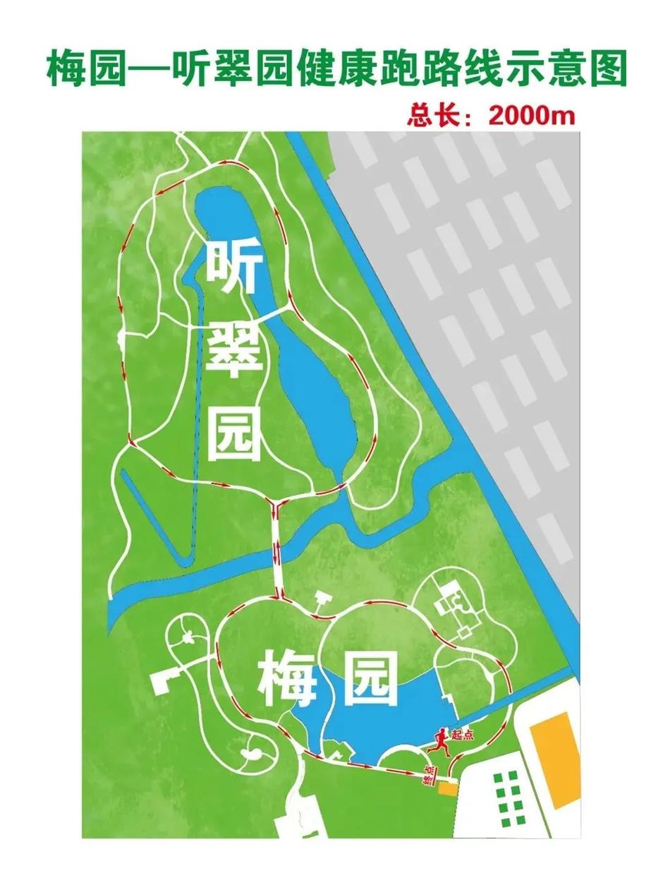 赏梅路线已更新!这里的绝美景色别错过!