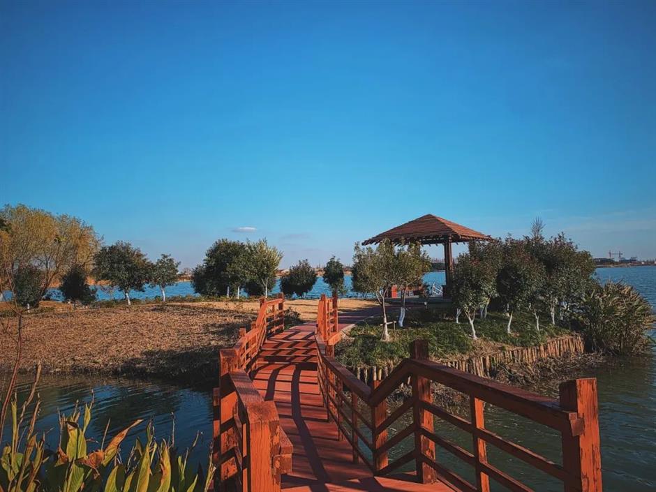 雨天必去,打卡这座宝藏千年古镇