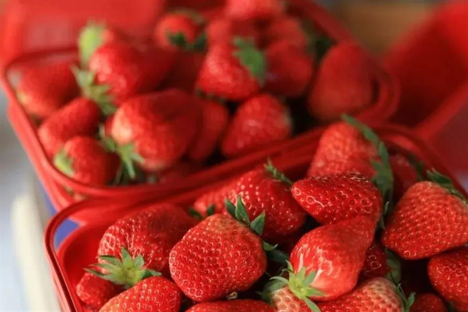 甜!这里有份草莓采摘地图