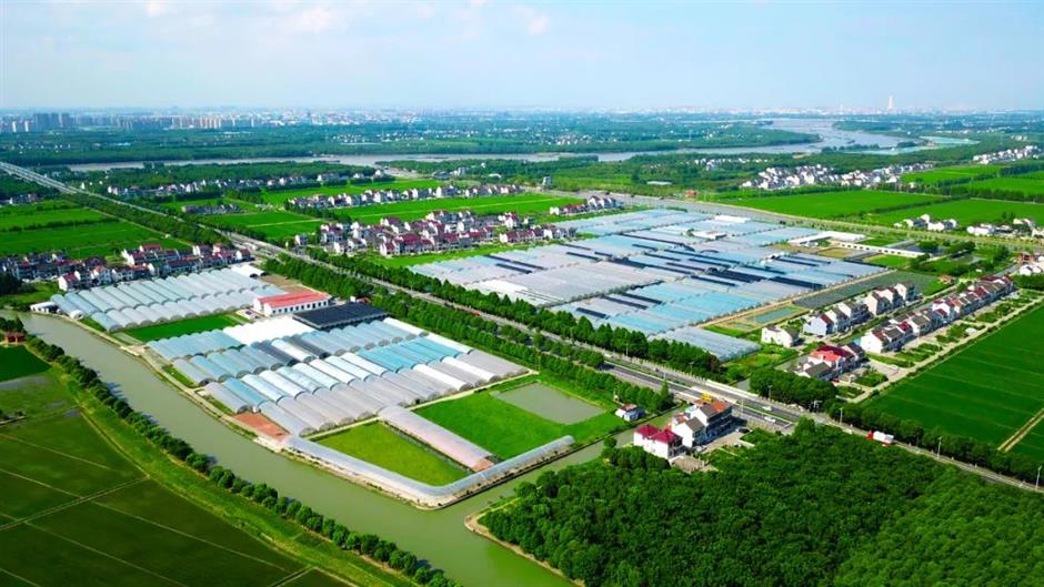 甜!这里有份草莓采摘地图