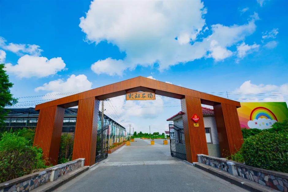 甜!这里有份草莓采摘地图