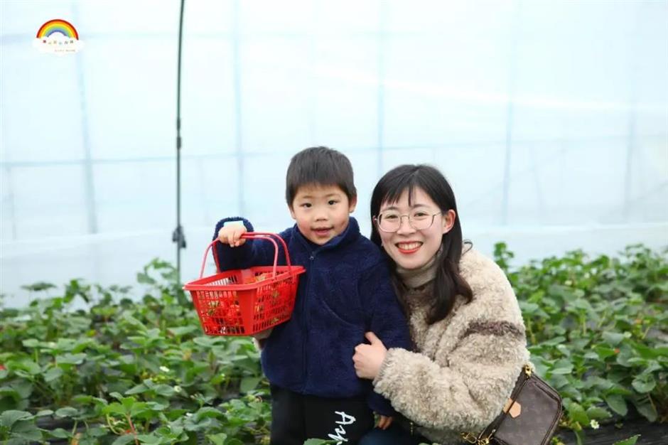 甜!这里有份草莓采摘地图