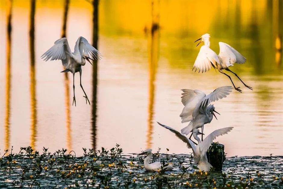 雨天必去,打卡这座宝藏千年古镇
