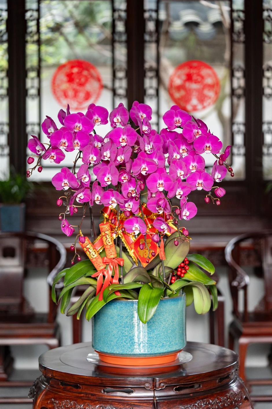 一波早春美圖,走進這片「香雪海」