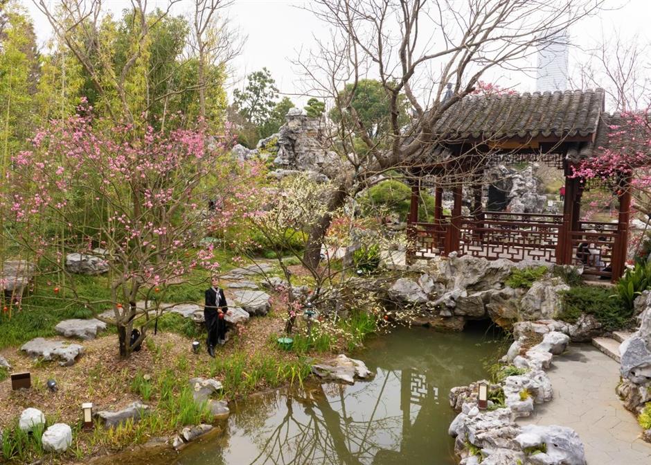 一波早春美圖,走進這片「香雪海」