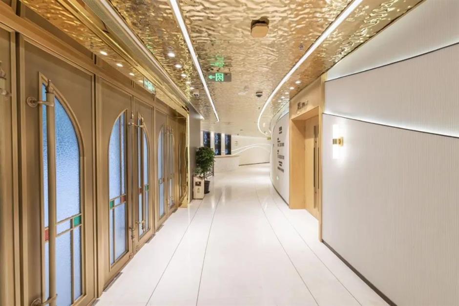 百年茉莉花,化身城市艺术空间